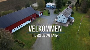 skogmo