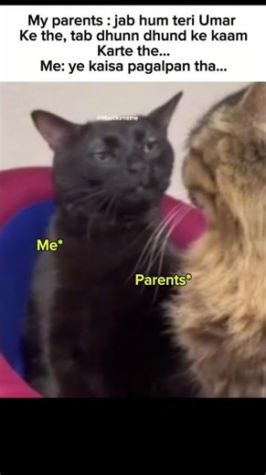 😂😂share with friends..#tweetreels#aestheticstatus#aesthetic#lofichill#lofimusic#sadquotes#explore