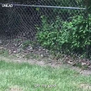 Ninja turtles really do exist! 😱🐢 Newsflare | UNILAD