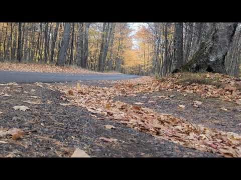 Autumn Forest Road Drive | Relaxing Fall Foliage Scenery