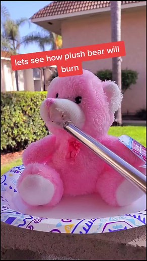 Will the plush bear burn? #plush #plushtoys #bear #toys #toy #fire #burn #burning #burningfun #fyp #experiment