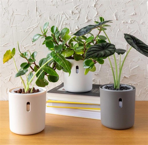 Leca Pots, Semi Hydro Self Watering Planter for Leca and Pon | Hydroponic Plant Pot With Water Level Indicator, Clear Net Pot | 4 Inch - Etsy