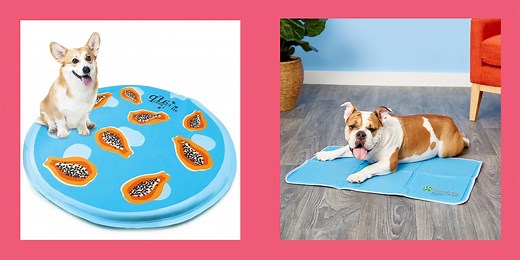 10 Best Cooling Mats for Dogs That Really Work, According to a Vet