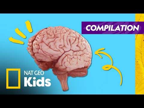 Your Brain's Hidden Secrets 🧠 | Brain Games Full Episode Compilation | Nat Geo Kids