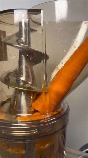 How a juicer works🥕🥕🥕 | Sh3rm4n Lvl