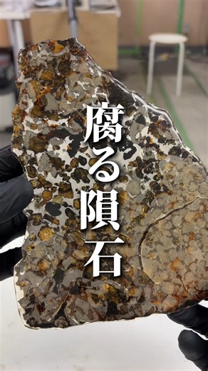 METEOS on Instagram: "パラサイト隕石の闇を暴露します。"