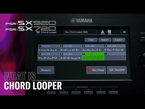 What Is Chord Looper