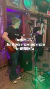 Free Bird Solo Played on Harmonica #music #harmonica #livemusic