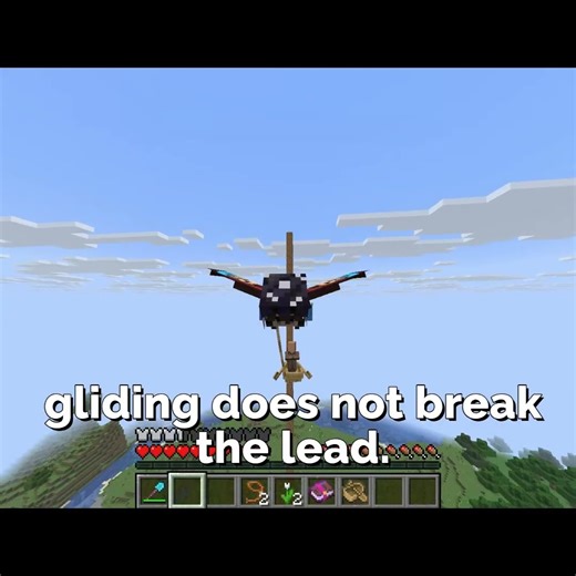 Transporting Villagers #minecraft