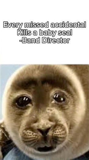 Read your key signature #band #orchestra #memes #music #fyp #cool