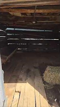 Exploring an old original barn on our farm.