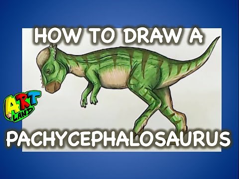 How to Draw a PACHYCEPHALOSAURUS