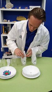 1.4K views · 20 reactions | Grab a couple of simple supplies to try this beautiful experiment with Educator Brent. This can be a fun way for your kids to use science in order to make some creative works of art! Thank you for joining us on our Thought-provoking Thursdays as we explored the physics of water in so many ways. Visit our YouTube channel to return to past experiments and share your experiences with us! | The Living Planet Aquarium | Facebook