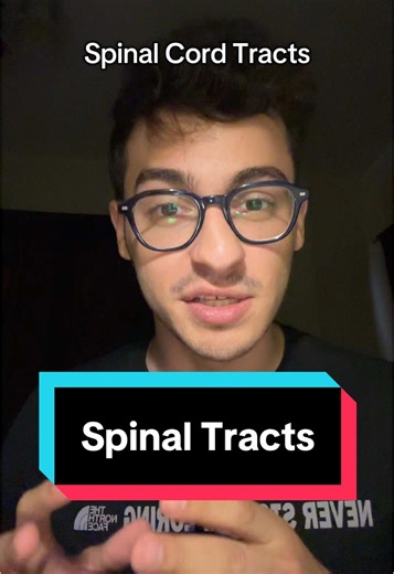 Understanding Spinal Cord Tracts in Neuroscience