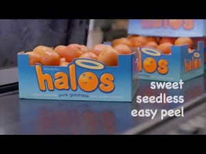 Halos Tantrum Commercial --- Remake