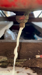 Air compressor takes out water like milk #mechaniclife #reelsfb #fypシ゚viral# #fall2024 #fypシ゚ #Amazing #reels #viral #mechanicMechanic #mechanic #mechanicsteve #automotive #autos #cars #truck #excavator #trucks #car #automechanic | technical things | Facebook