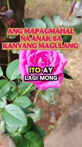 Ang mapagmahal na anak sa kanyang magulang #reelstrending #highlightseveryone #millionviews | Emelita Capio