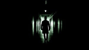 Follow Me Quietly