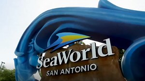 SeaWorld and Acquatica hiring for more than 500 job positions
