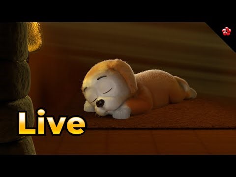 🔴 LIVE STREAM 🦊 Kunjoose 🐰 Banu Bablu 🐶 Pupi 1 🎬 Fun Tamil Cartoon Movies Live 🐾 Kids Animation