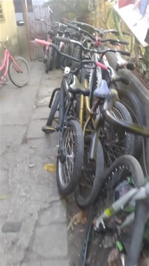 Starting a Gardening Business: Key Tips and Insights