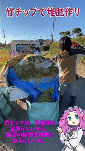 Making compost with bamboo chips! #soilimprovement #cooking #regenerativegrowing #pesticide-freeg...