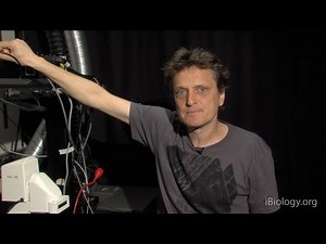 Microscopy: High Speed Synchronization (Nico Stuurman)