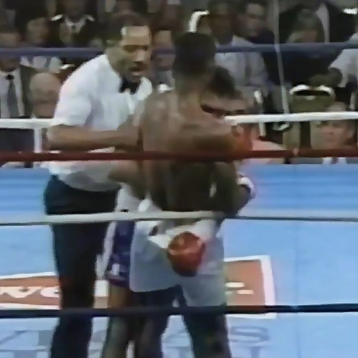 Michael Nunn vs Juan Domingo Roldan Highlights | Anita Skorgan