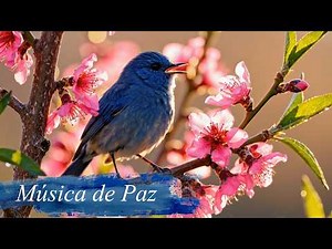 🎵 Un Momento para Mí 💙 Música para la Paz Interior y Sanar el Alma (1 Hora) #23