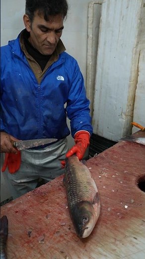 The Smart Fish Filleting Trick I Learned From an American Boat Fisherman