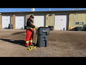 How to bear-proof your garbage cart