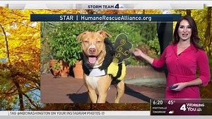 It's almost Halloween time!! Weather looks pretty good for trick-or-treaters! | Sheena Parveen