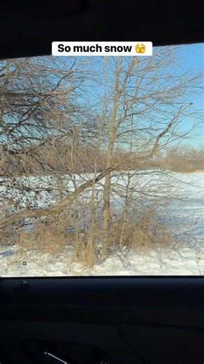 We made it to Chicago and there’s snow everywhere 🙃 | DecoExchange