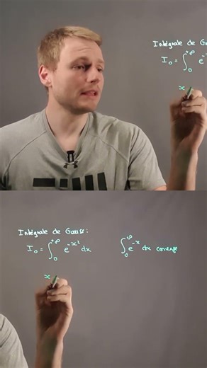 La plus belle intégrale