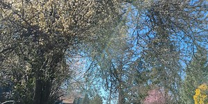 It’s A Spring Thing: Clean Up Your Life To Live Longer