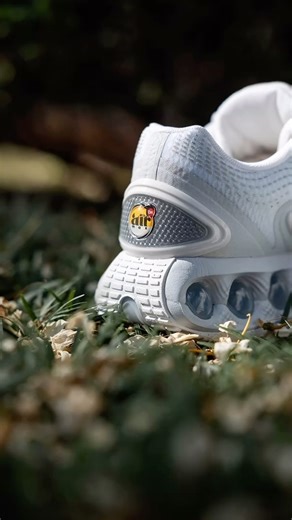 Toronto Sports on Reels