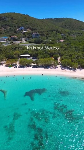 No need to leave the US to see turquoise waters, swim with sea turtles, or dive incredible reefs. St. Thomas, USVI is available to US citizens without a passport and is only a 2.5 flight from Miami. Let’s start planning your trip today! #stthomas #stthomasusvi #bluesaltvi #discoverstthomas #explorestthomas #visitusvi #stthomasrentals #stthomasvillas #travelinspo #beachvibes #magensbay #trunkbay #cinnamonbay #stjohnusvi | BlueSalt Properties