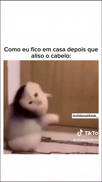 Memes Engraçados: Cabelo Bagunçado vs Cabelo Alisado
