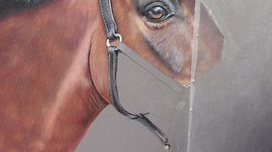 1.6K views · 150 reactions | Edited timelapse and blended video :) Would love to know what you think - this will be available at some point as a real time video with voice over :) and as part of a tutorial | Bonny Snowdon Academy | Facebook