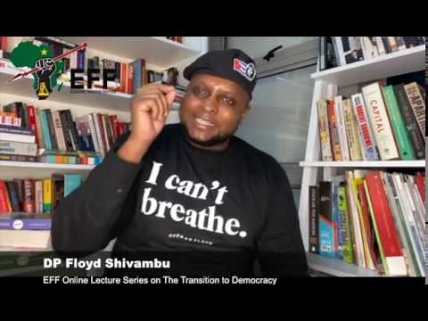 EFF Online Lecture Series on The Transition to Democracy: Reform Over Revolution