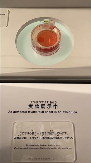 IPS細胞からできた心筋シート①【大阪ヘルスケアパビリオン】【大阪万博】【大阪旅行】