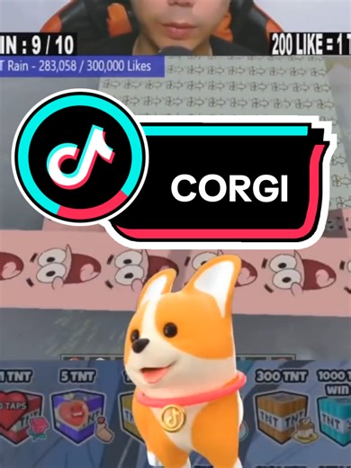 Exciting Corgi Adventures in Minecraft