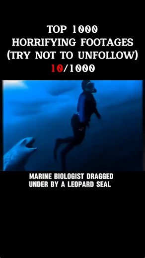 Horrifying Footage on Instagram: "British marine biologist Kirsty Brown, 28, was killed by a leopard seal while snorkelling near the British Antarctic Survey Rothera Research Station in Antarctica. The seal appeared without warning and dragged her approximately 60 metres underwater. Colleagues on shore rushed to rescue her and performed CPR for nearly an hour, but she could not be revived. This remains the first and only confirmed fatal leopard seal attack on a human. A year-long investigation f