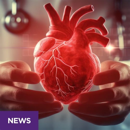 Spider venom heart drug a step closer