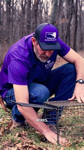 Tips for Success with Cage Traps