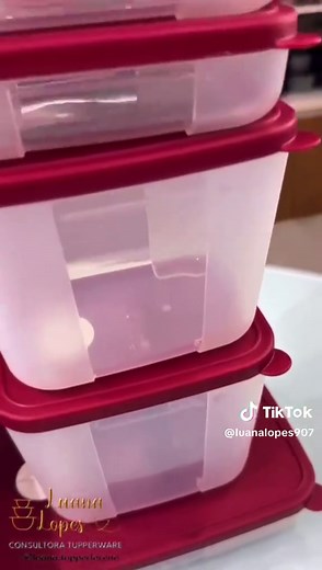 Organização Prática com Freezertime da Tupperware