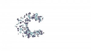 Use Text Features to Locate Key Information