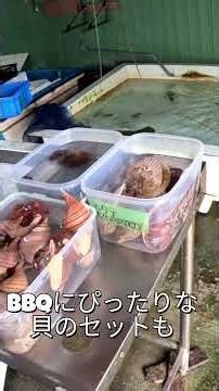 伊達市黄金市場 #海鮮好き #料理＃BBQ＃朝市