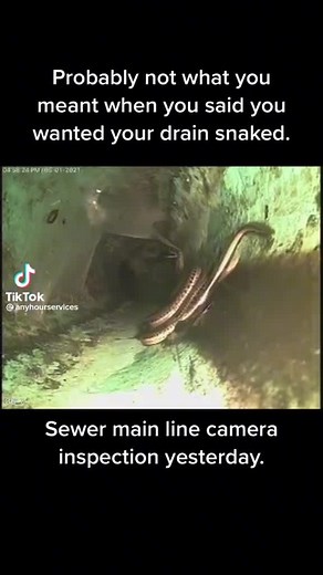 JULY SPECIAL! 50% OFF SEWER MAIN LINE CAMERA! Do you live in an older home? Do you experience frequent backups? Do you regularly have to rooter your main line? A main line camera inspection can help you see what's causing your problem and find solutions to fix it. This month, you can save 50% off this camera service.Visit any hour services.com/contact | Any Hour Services - Electric, Plumbing, Heating & Air