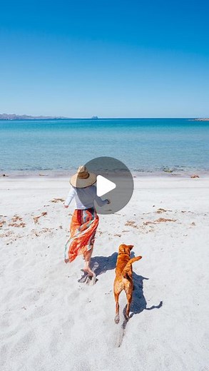 Sarah Herron on Instagram: "This dog is our universe—and that’s putting it mildly. ❤️ so grateful to be reunited with Rio today and for our friends and community that went out looking for him in a snowstorm when he went missing while we were out of town. I still can’t believe he found his way home all the way from the dog sitter’s house. We’ll never leave you again, Rio! #dogsofinstagram #homewardbound #carbondale"